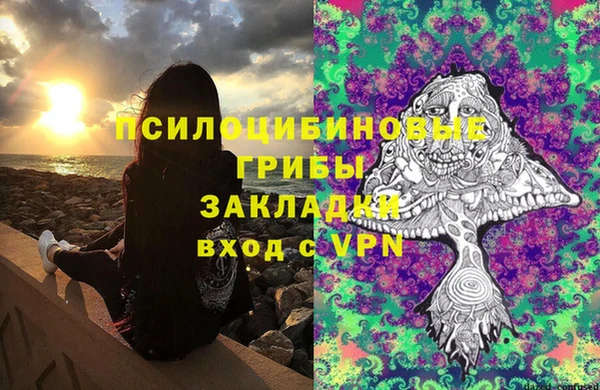 герыч Мегион