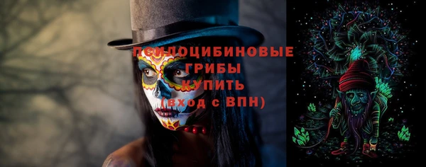 герыч Мегион