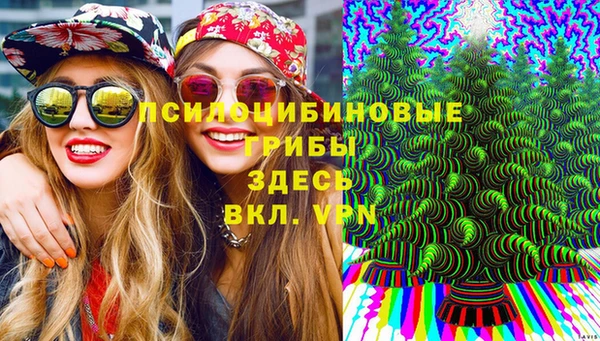 экстази Медногорск