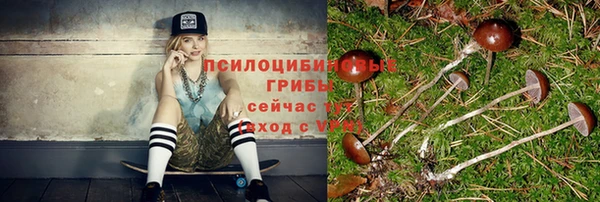 соль ск Медвежьегорск
