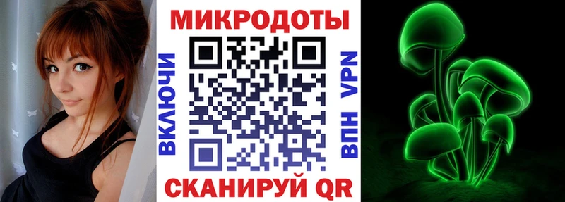 Купить  Маркс  Галлюциногенные грибы Cubensis 
